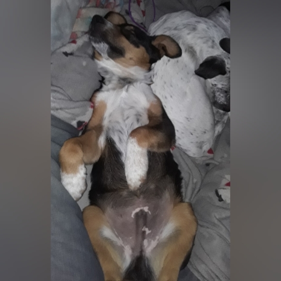 Meet your Posher, Hollaaaaa Hollaaaaa🤙🤙 I'm Tampa - Picture 15 of 16